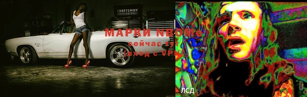гидропоника Богородск