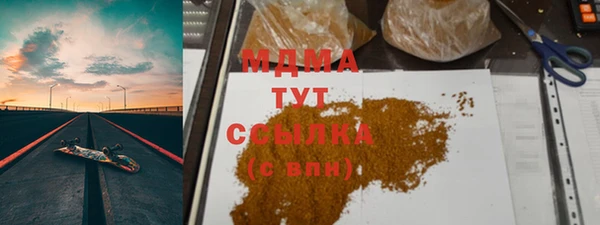 молекула духа Богданович