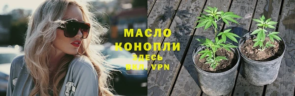 молекула духа Богданович