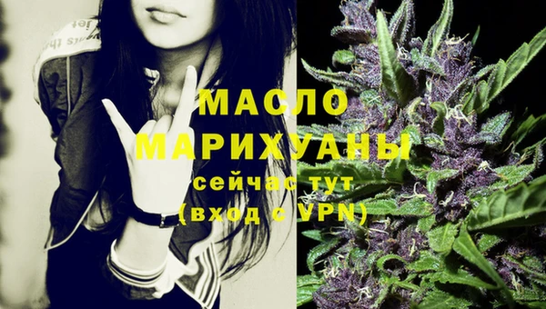 молекула духа Богданович