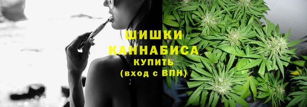 молекула духа Богданович