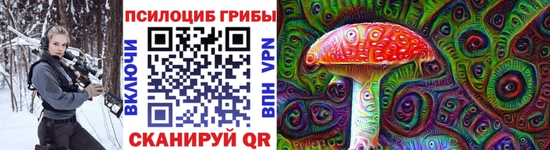 где продают   Михайлов  Псилоцибиновые грибы Psilocybine cubensis 